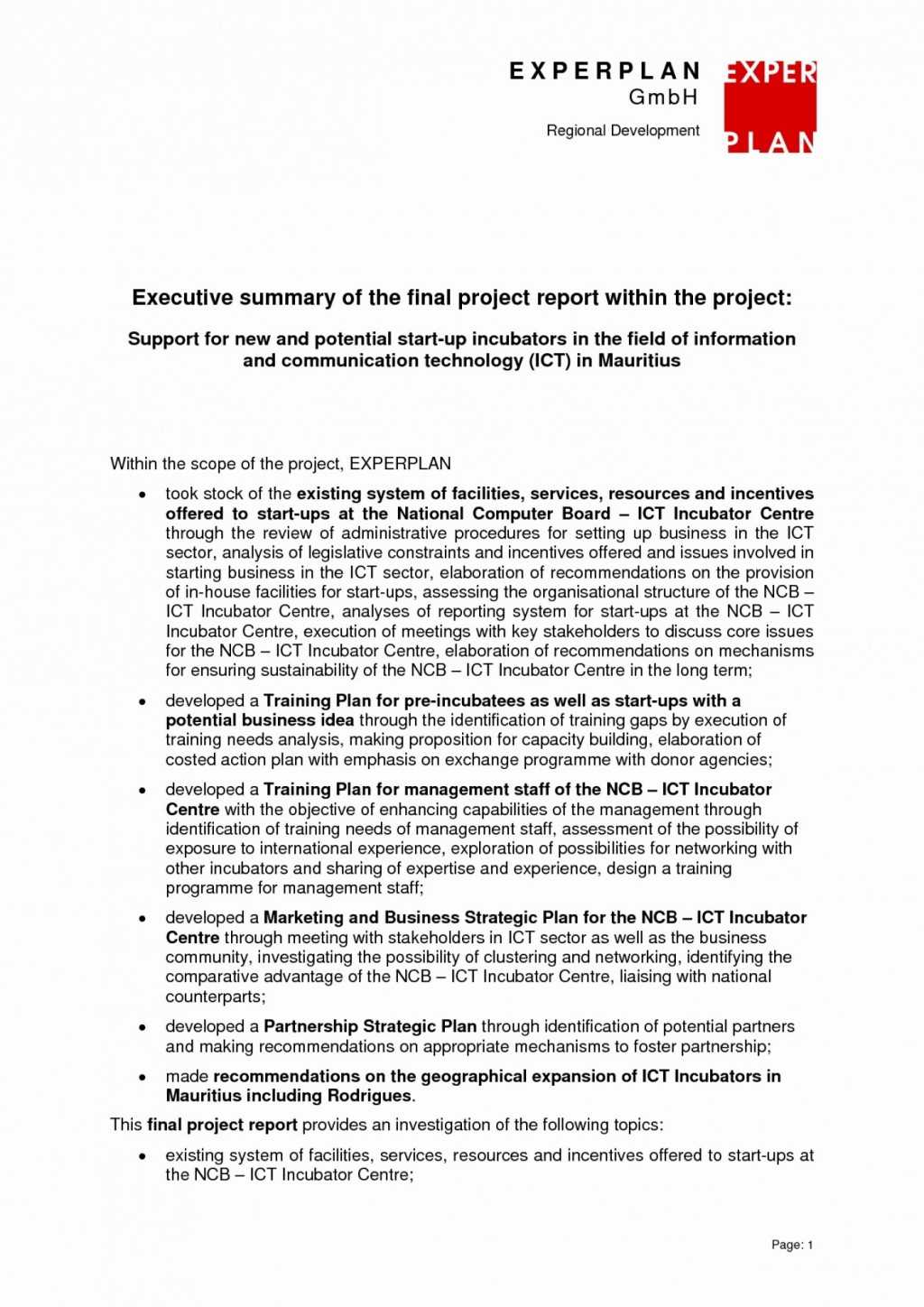 008 Project Management Executive Summary Report Template In Research Project Report Template
