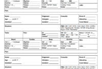 009 Nursing Shift Report Template Unforgettable Ideas with regard to Nurse Shift Report Sheet Template