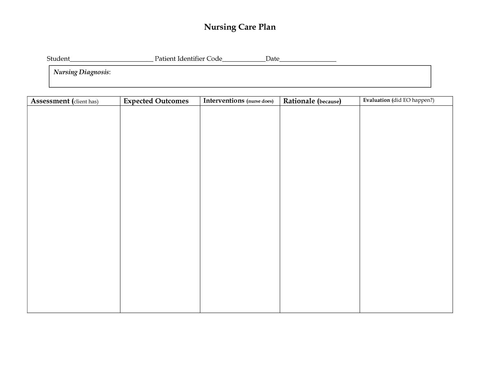 013 Template Ideas Nursing Care Plan Unbelievable Veterinary Within Nursing Care Plan Template Word