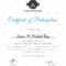 019 Free Dance Certificate Templates For Word Template Ideas Within Certificate Of Participation Template Word