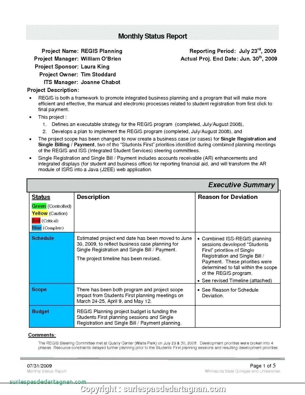 028 Monthly Sales Report Template Executive Manager Example With Sales Manager Monthly Report Templates
