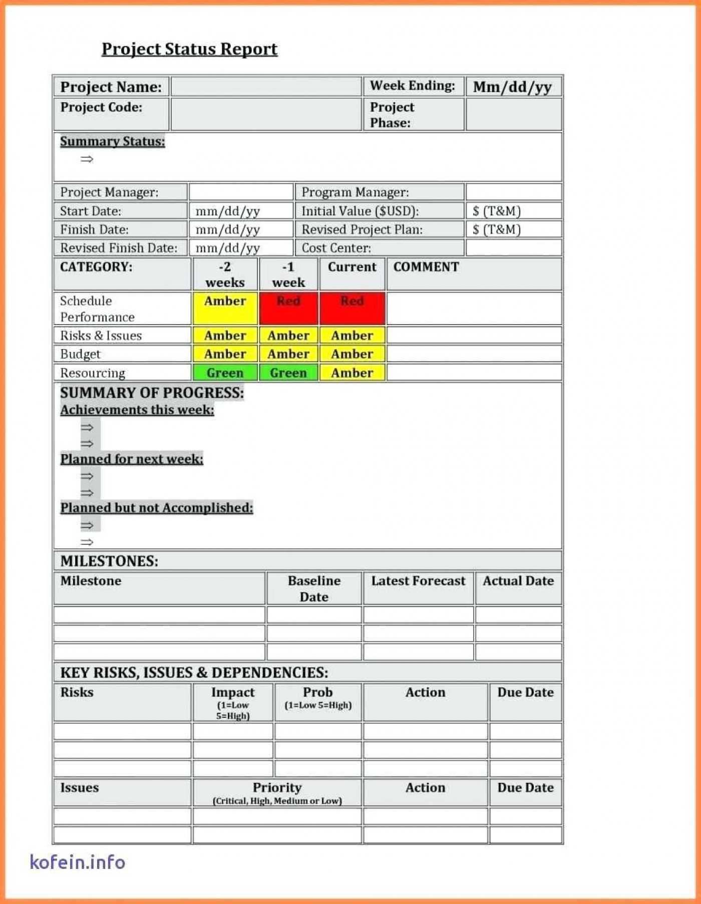035 Project Status Report Template Excel Format Management With Regard To Baseline Report Template