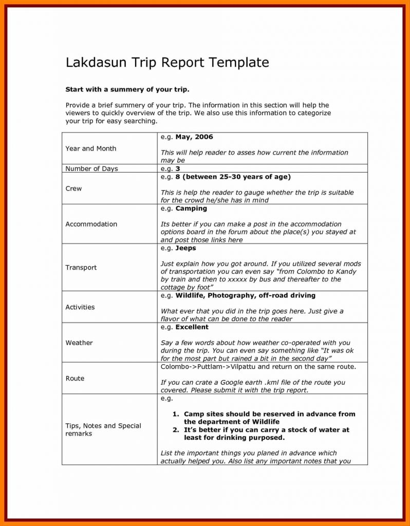 043 Business Report Template Document Development Word Trip Pertaining To Customer Visit Report Template Free Download