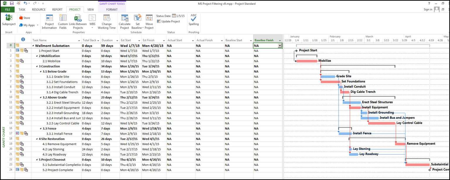 Baseline Report Template