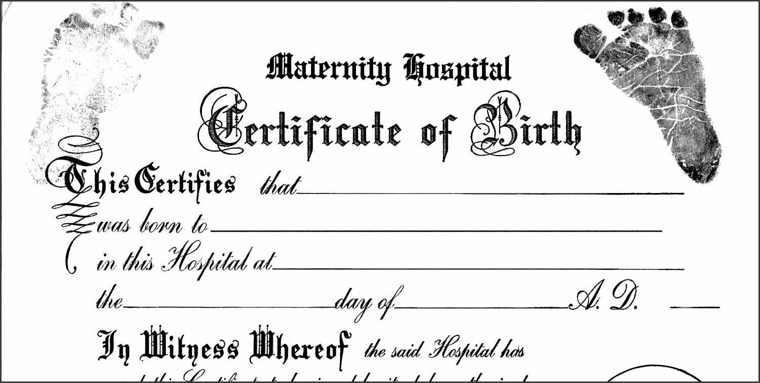 30 Editable Birth Certificate Template | Andaluzseattle Pertaining To Birth Certificate Template For Microsoft Word