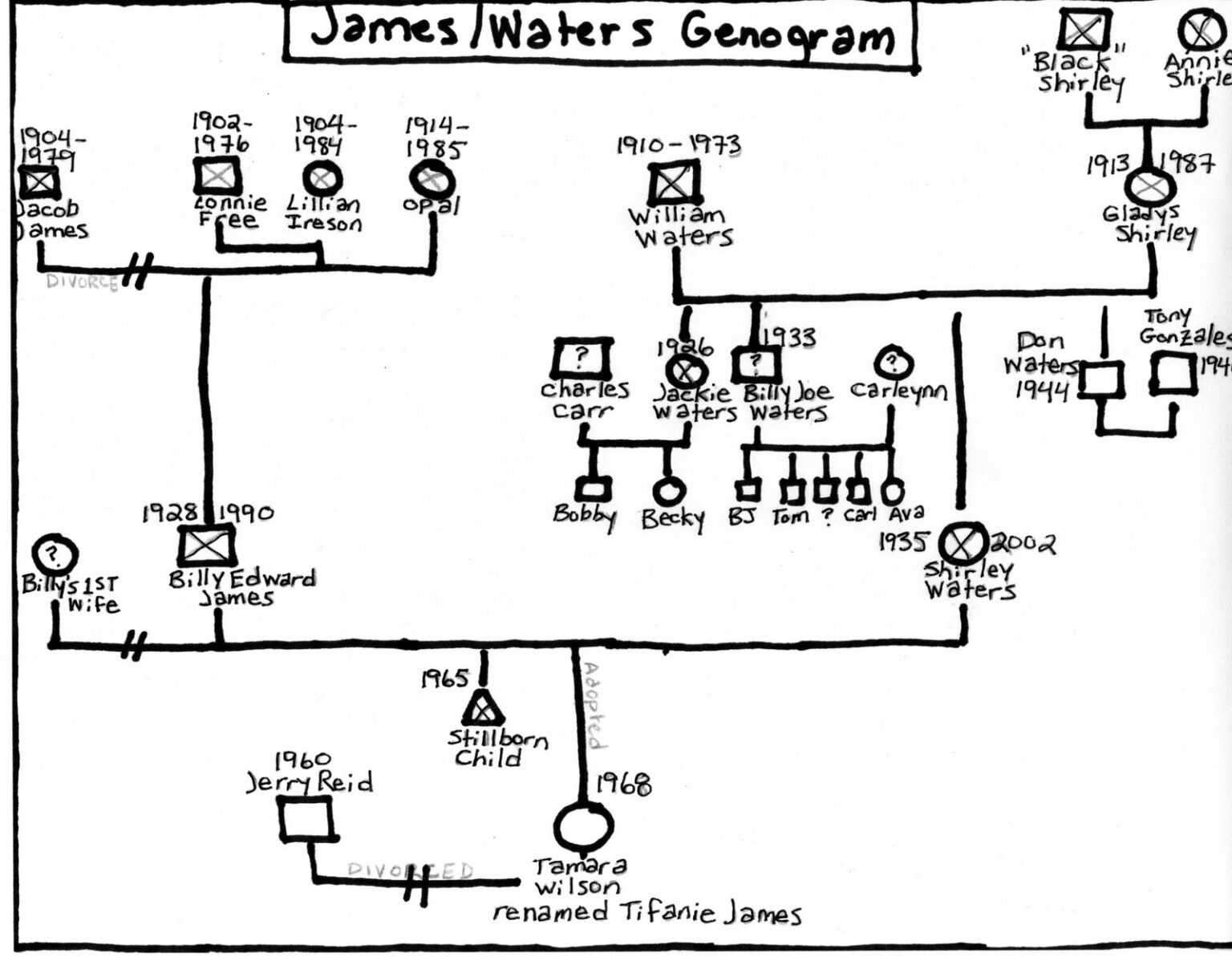 4 Generation Genogram – Zohre.horizonconsulting.co Throughout Family ...