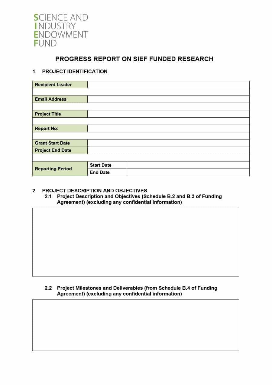 40+ Project Status Report Templates [Word, Excel, Ppt] ᐅ Throughout Research Project Progress Report Template