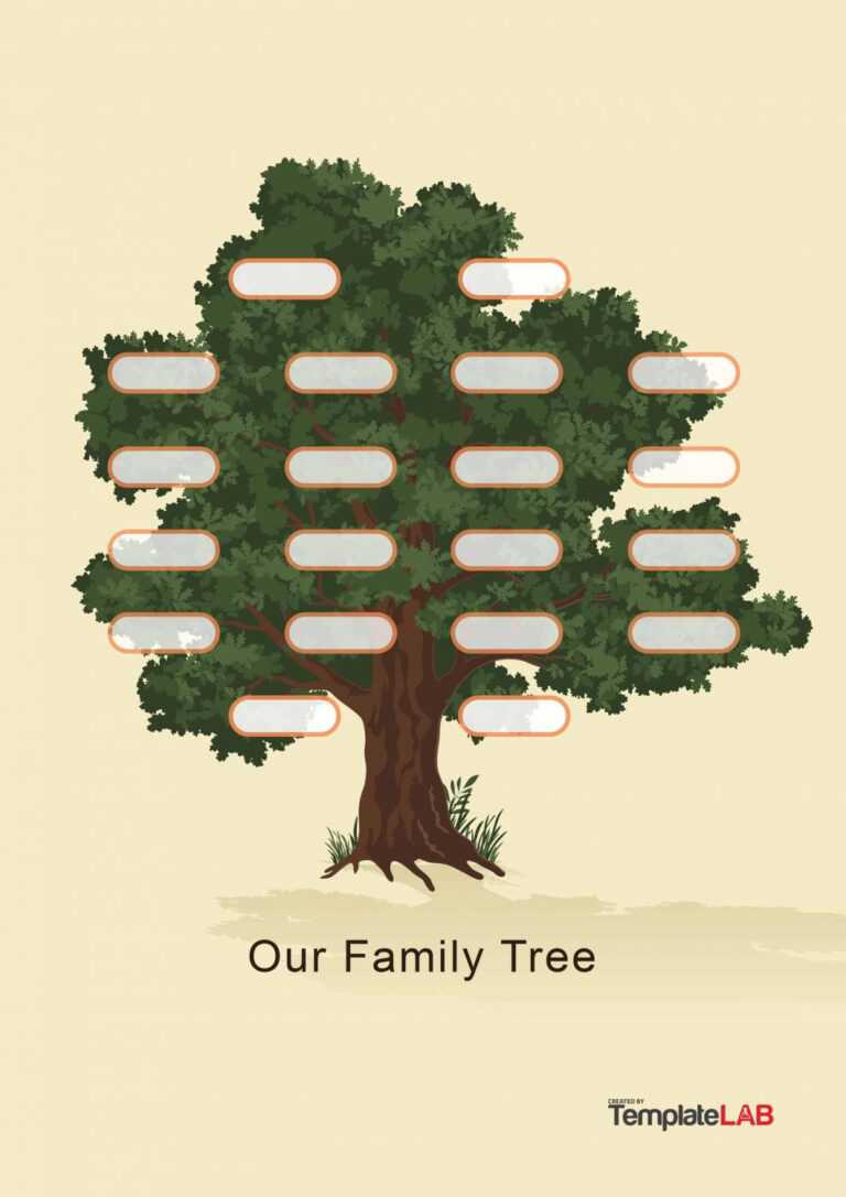 50+ Free Family Tree Templates (Word, Excel, Pdf) ᐅ in 3 Generation ...