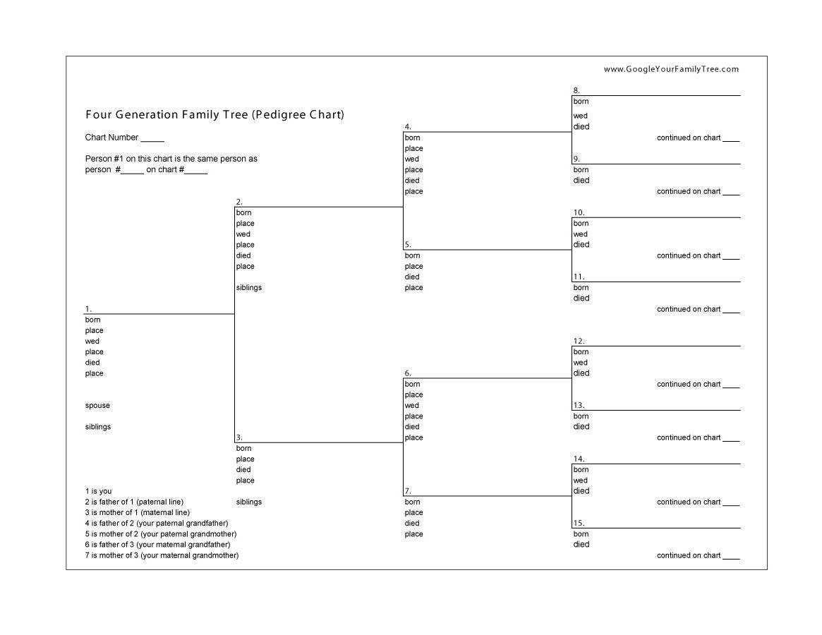 50+ Free Family Tree Templates (Word, Excel, Pdf) ᐅ Within 3 Generation Family Tree Template Word