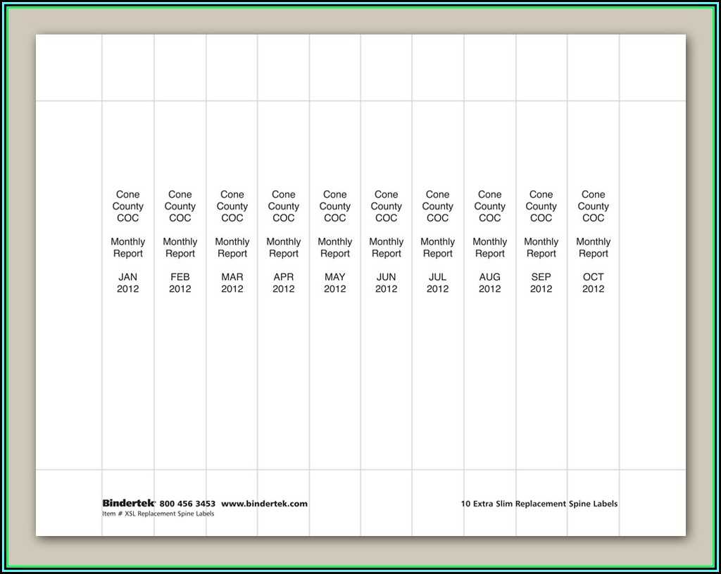 Avery Binder Spine Templates – Zohre.horizonconsulting.co With Regard To 3 Inch Binder Spine Template Word