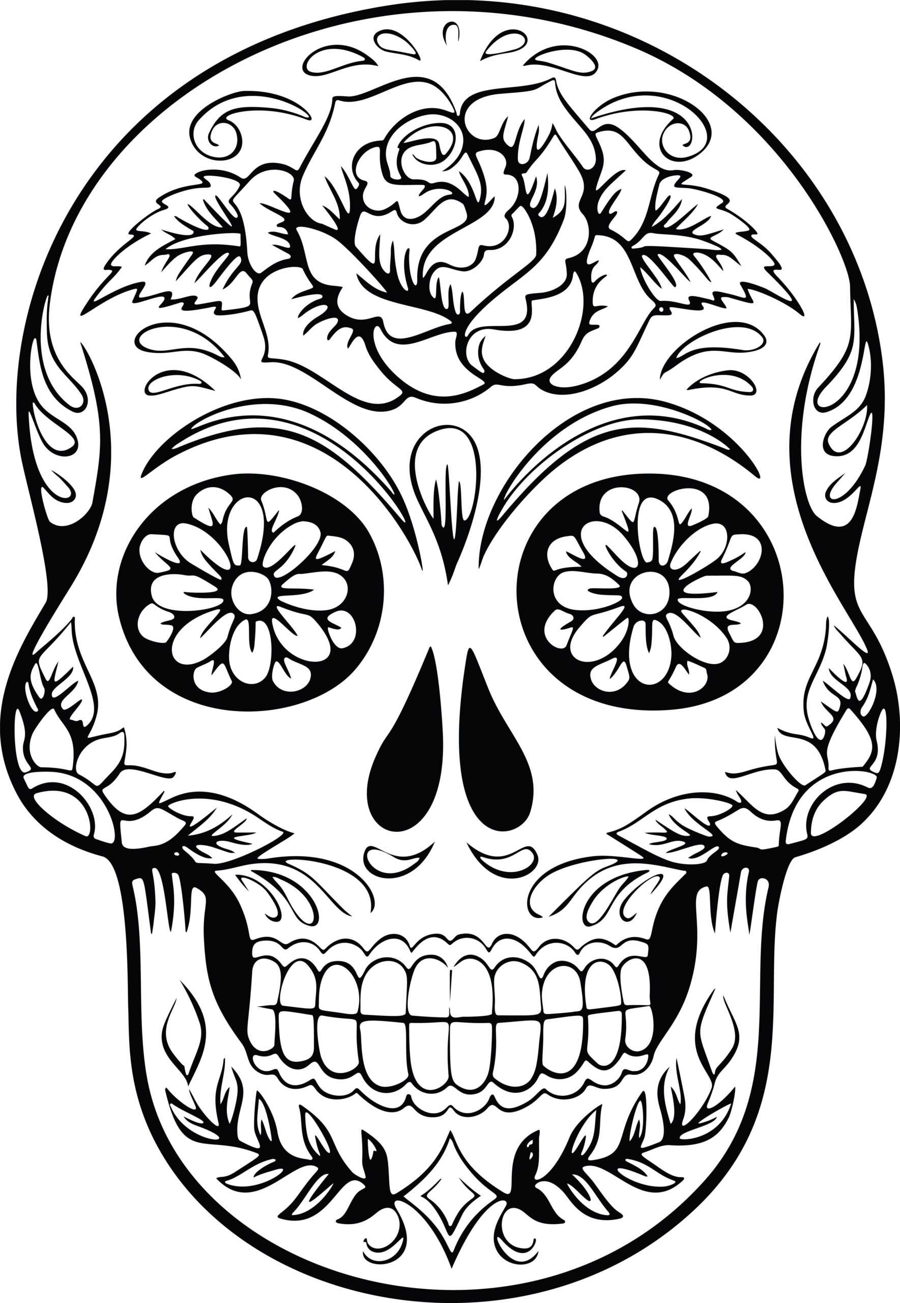 Best Coloring : Free Skull Anatomy Pages Muscular System Regarding Blank Sugar Skull Template