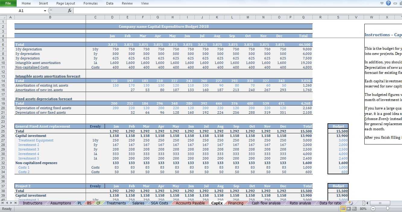 Capex Budget Template – Zohre.horizonconsulting.co Pertaining To Capital Expenditure Report Template
