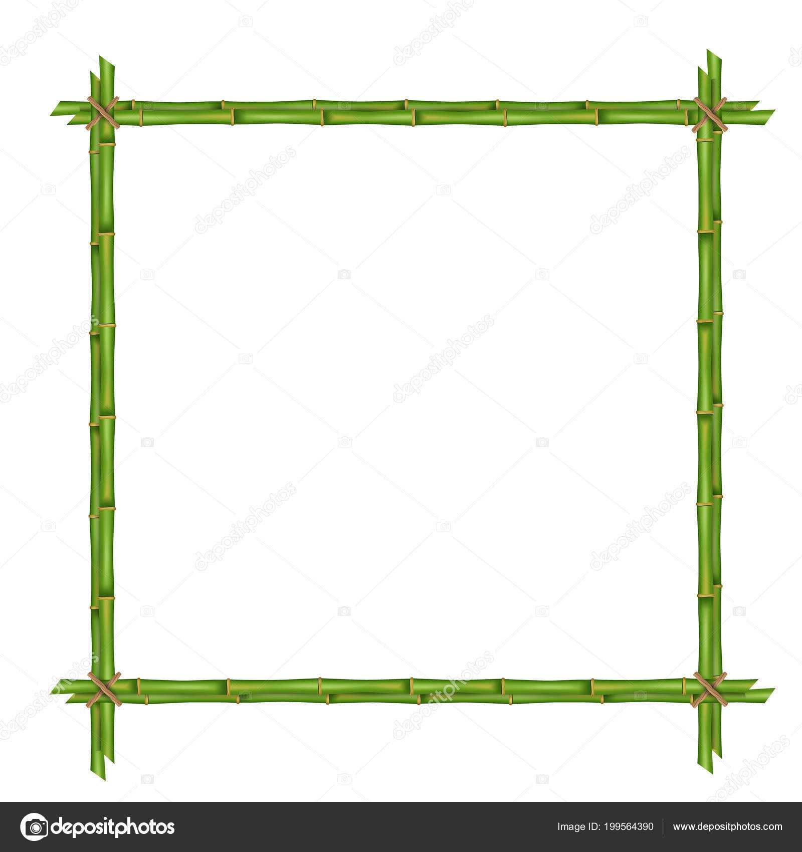 Creative Vector Illustration Bamboo Stems Frame Isolated With Blank Stem And Leaf Plot Template