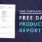 Download Free Daily Production Report Template In Wrap Up Report Template