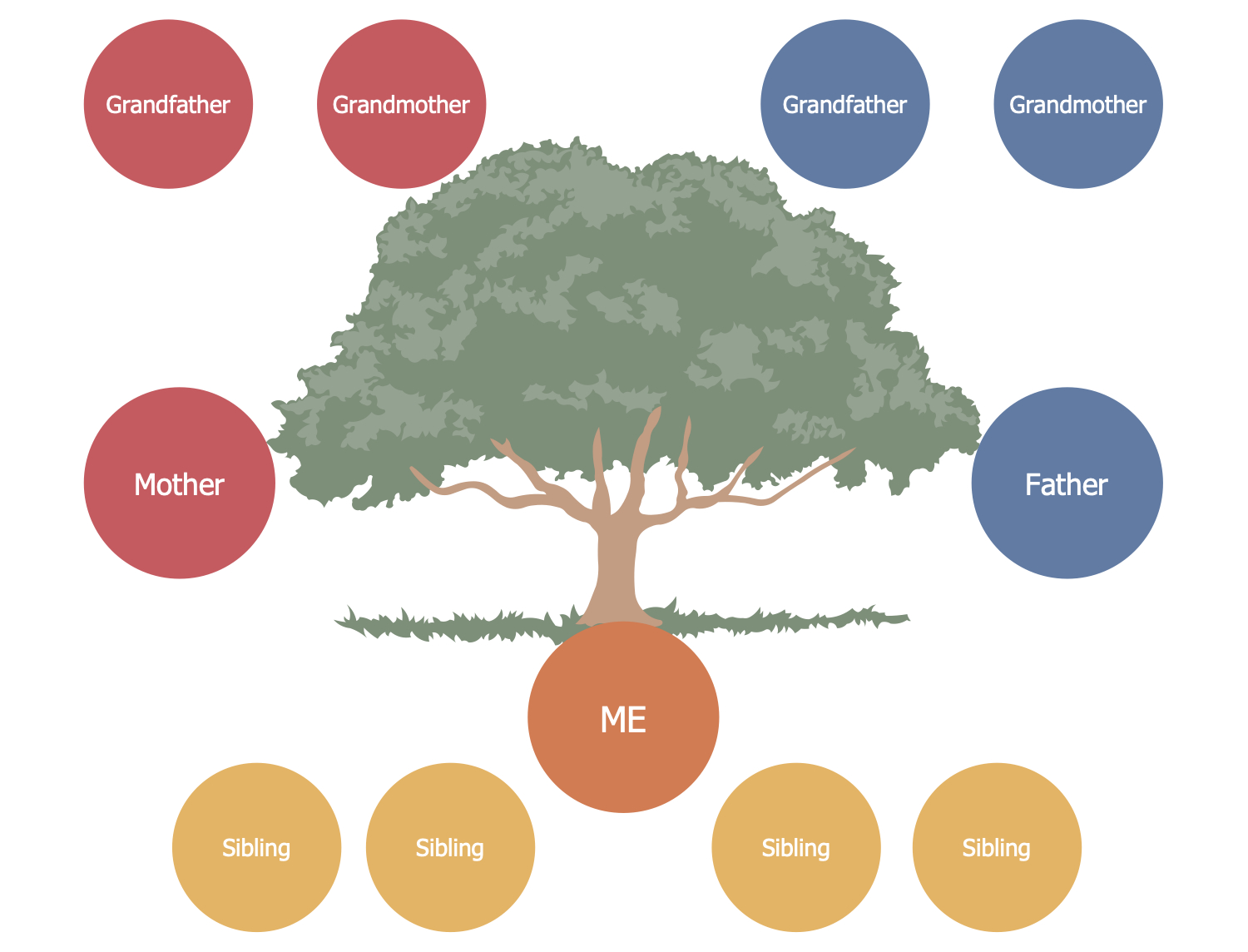 Family Tree Solution | Conceptdraw For 3 Generation Family Tree Template Word
