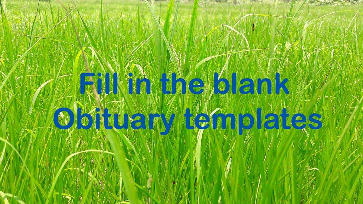 Fill In The Blank Obituary Template Pertaining To Fill In The Blank Obituary Template