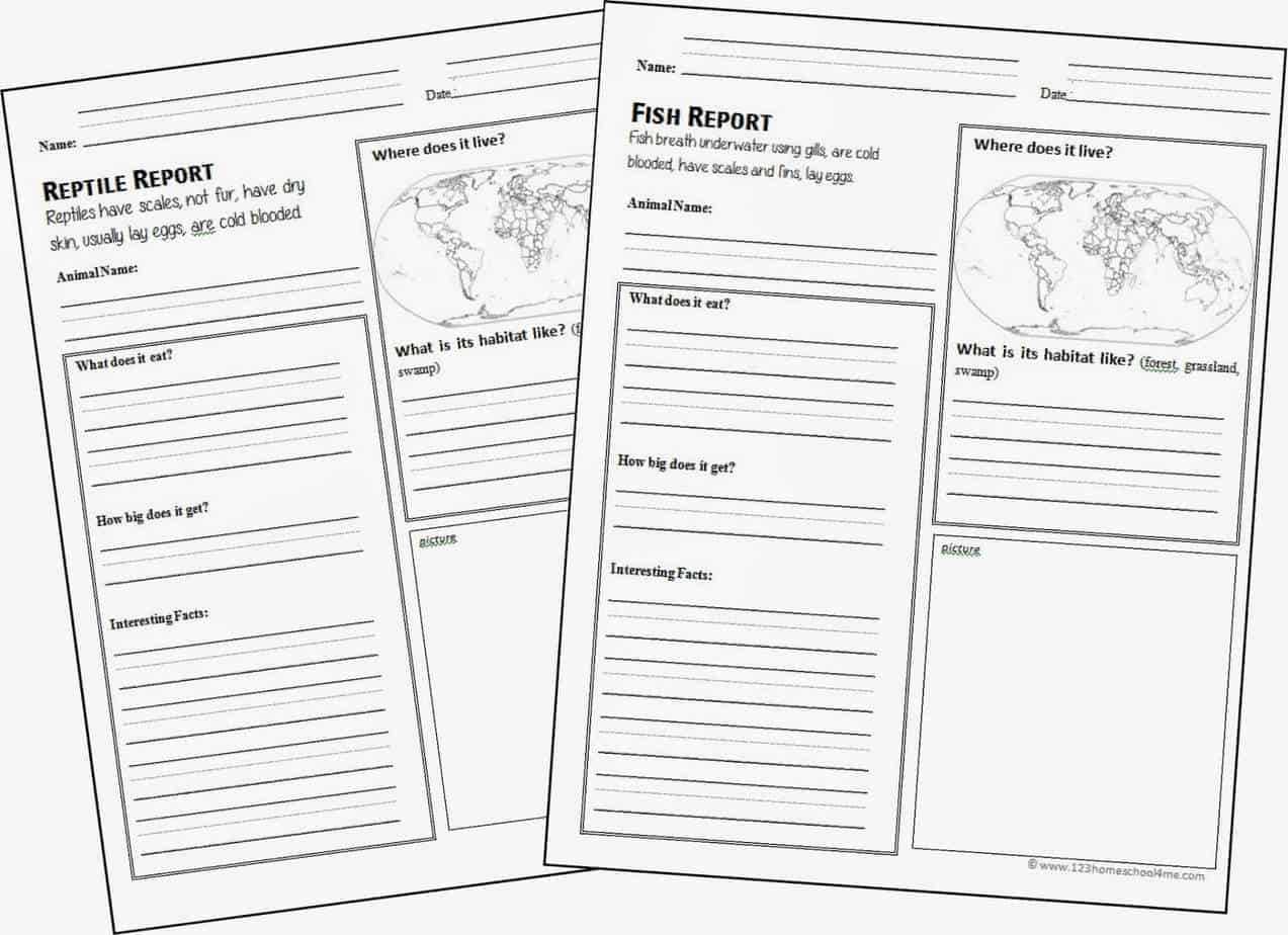 Free Animal Report Form Printable | 123 Homeschool 4 Me In Animal Report Template
