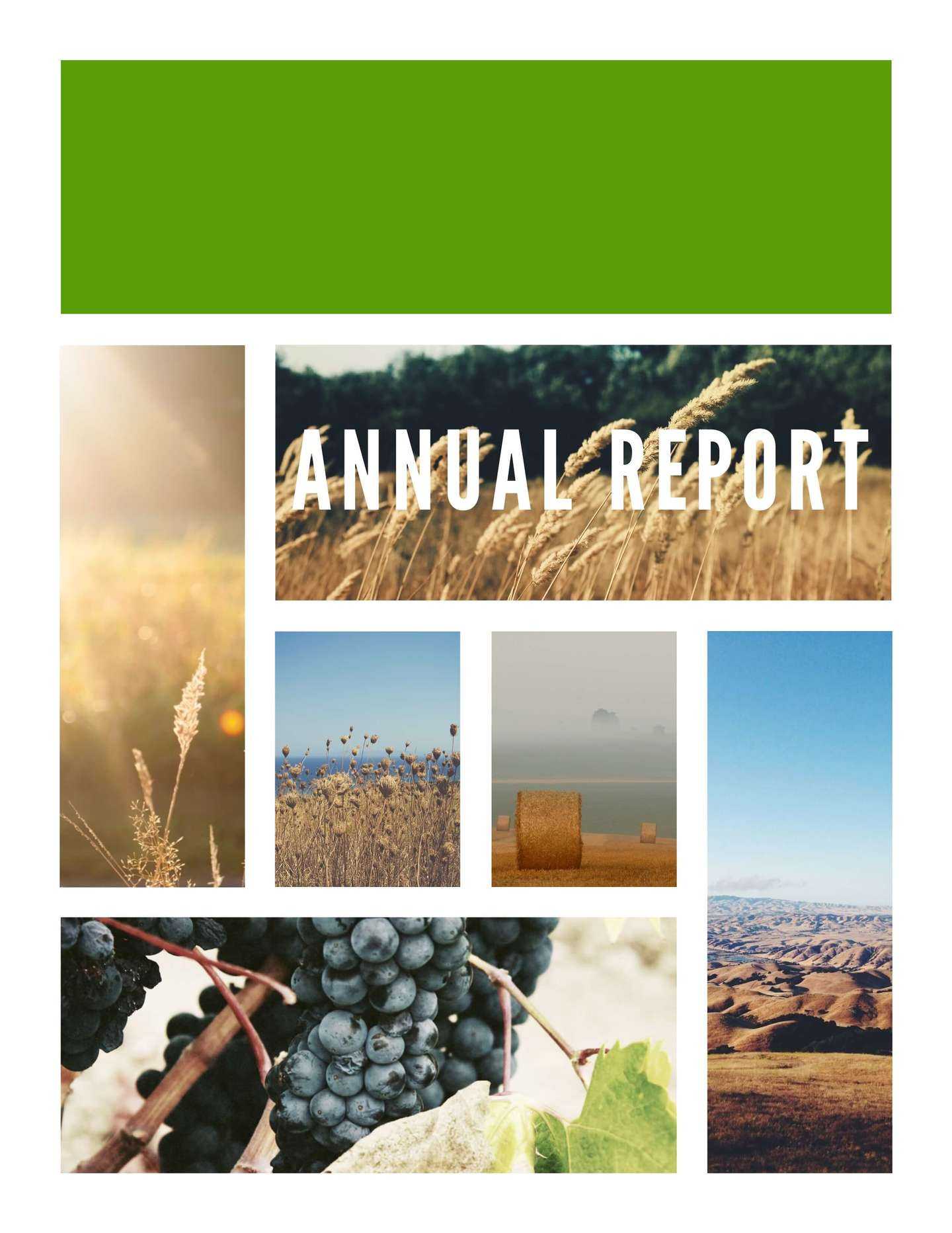 Free Annual Report Templates & Examples [6 Free Templates] Regarding Annual Report Template Word Free Download