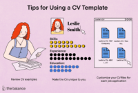 Free Microsoft Curriculum Vitae (Cv) Templates For Word for How To Create A Cv Template In Word