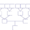 Genogram Blank Template – Zohre.horizonconsulting.co With Regard To Family Genogram Template Word