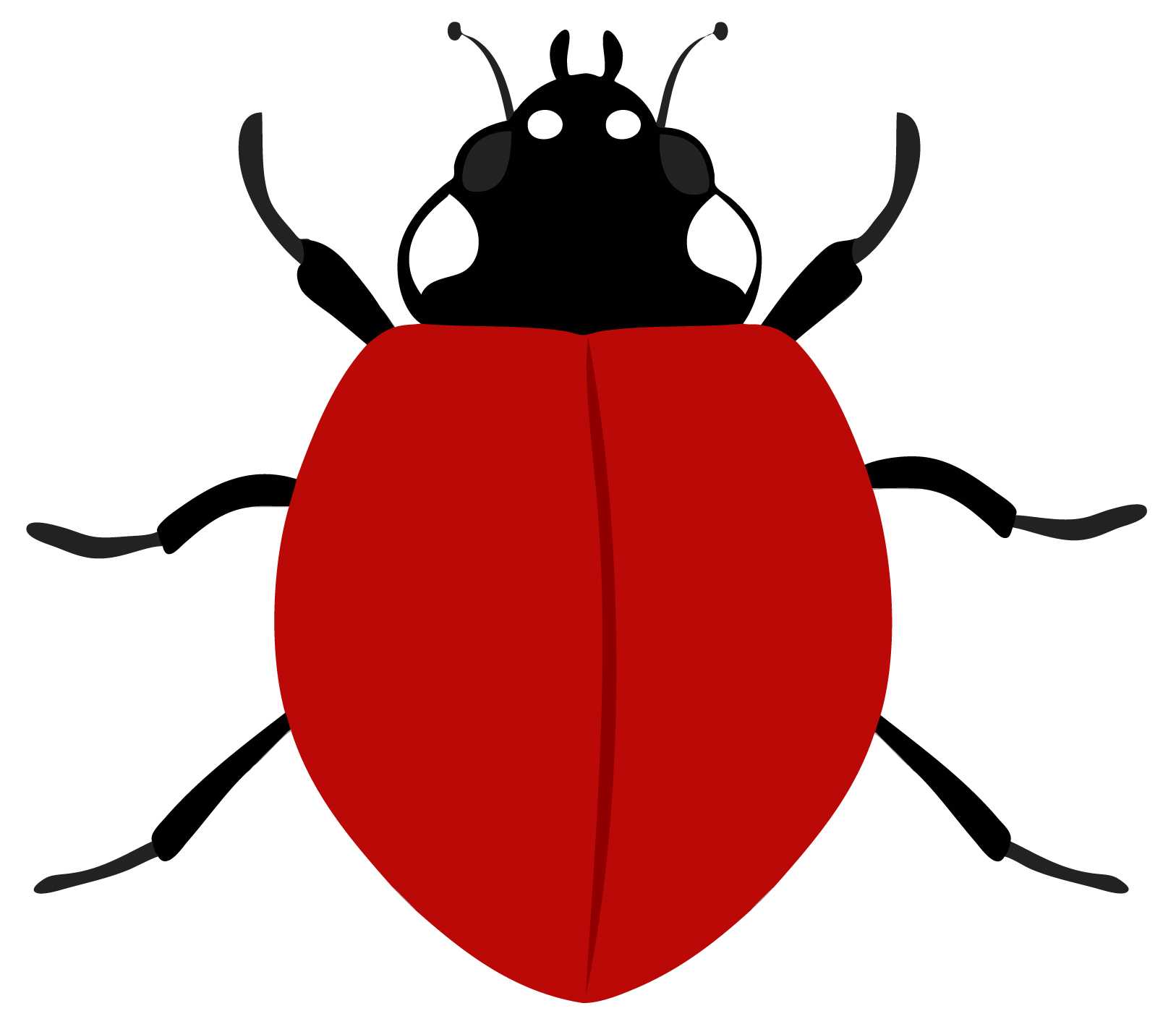 Ladybird Template. Ladybird Powerpoint Template Backgrounds With Regard To Blank Ladybug Template