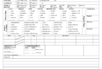 Patient Care Report Template Doc - Fill Online, Printable with Patient Care Report Template