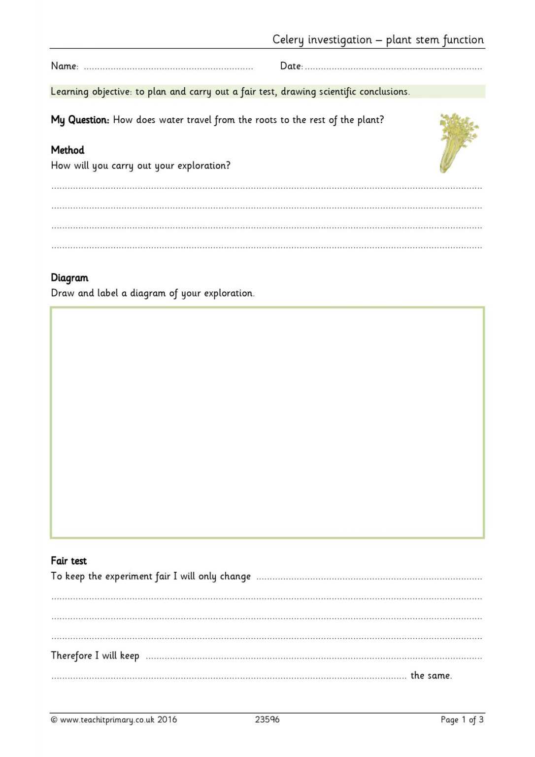 Science Report Template Ks2 Business fromgrandma best Science Report Template Ks2 Business fromgrandma best