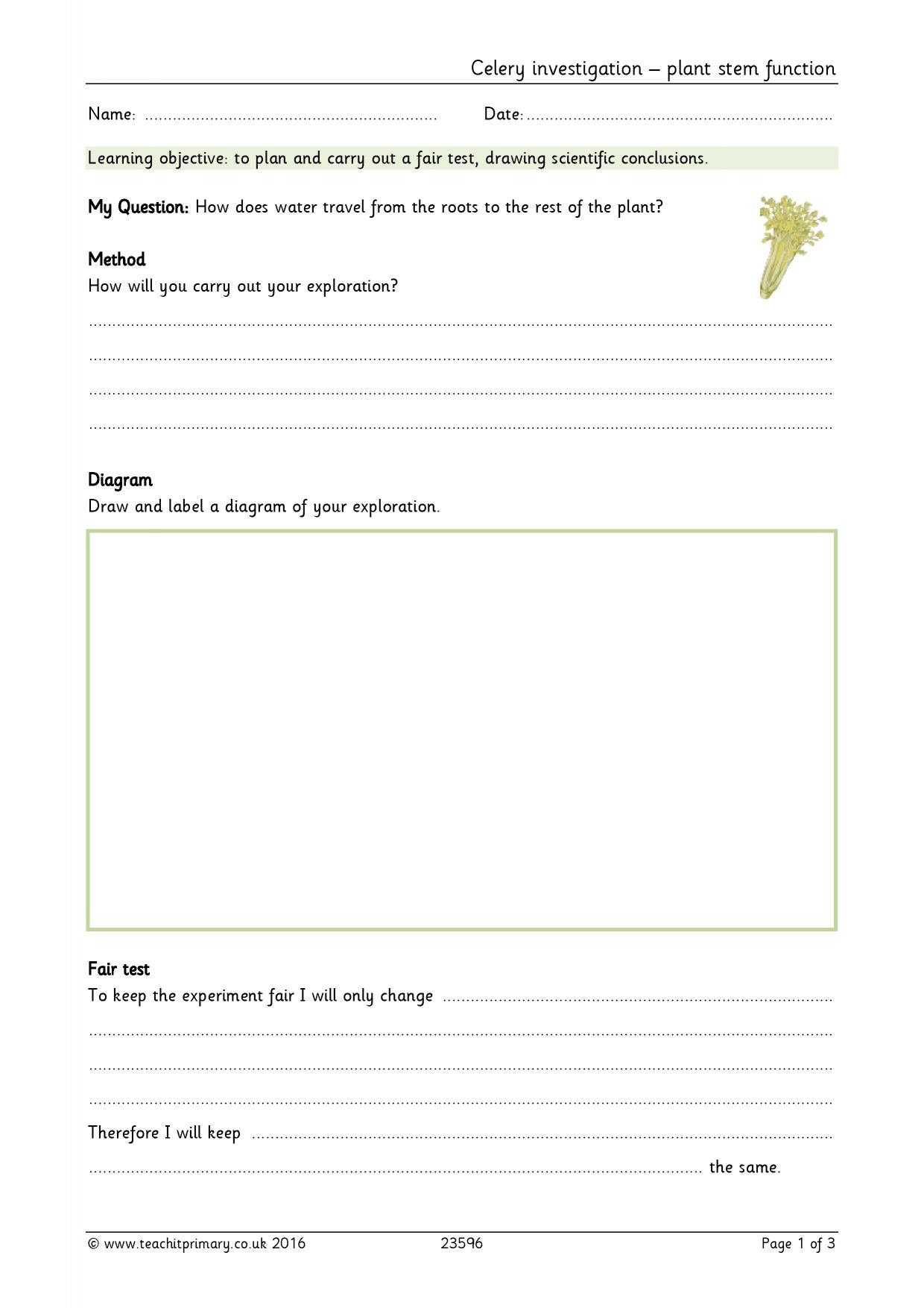 Science Investigation Templates – Zohre.horizonconsulting.co Inside Science Report Template Ks2