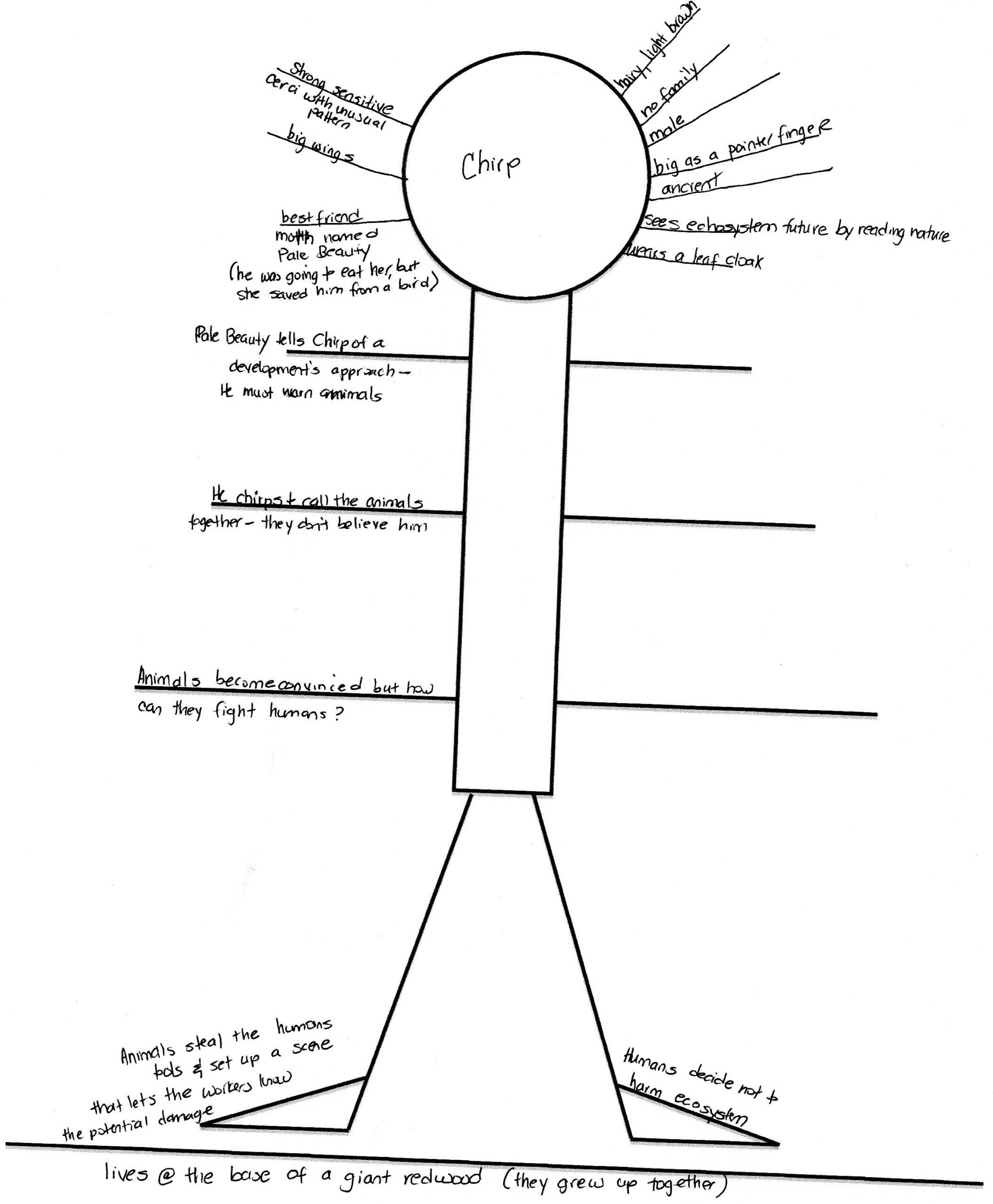 Skeleton Book Report Template