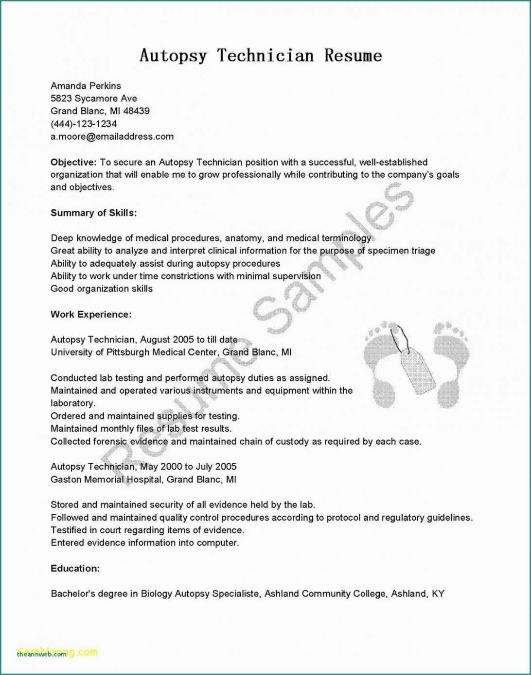 Technician Resignation Letter Two Weeks Notice Template Inside Two Week Notice Template Word