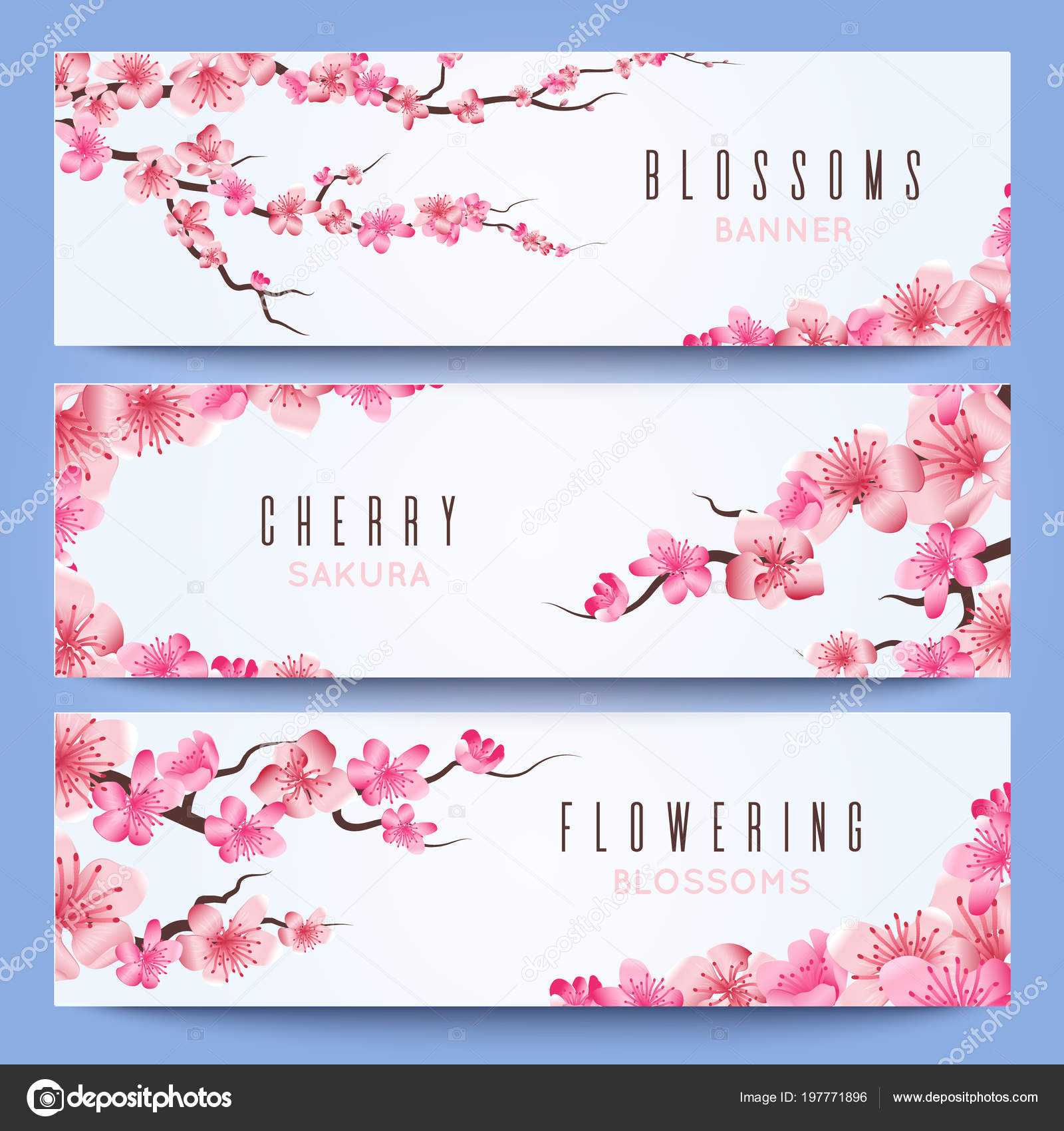 Wedding Banners Template With Spring Japan Sakura, Cherry Throughout Wedding Banner Design Templates